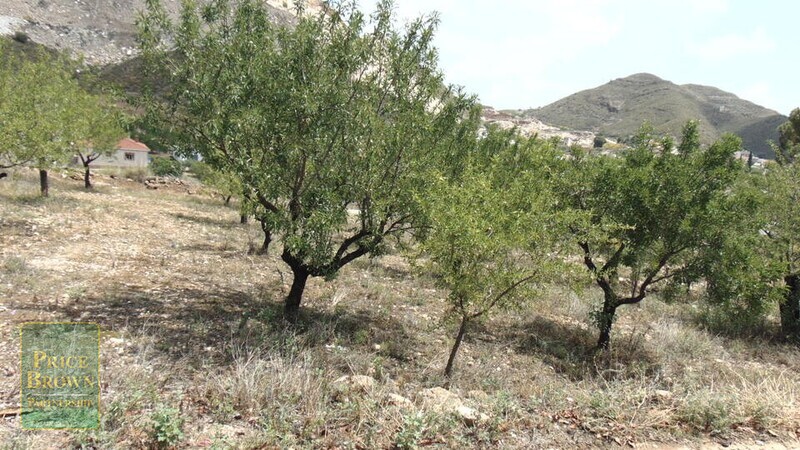 AF1101: Land for Sale in Lubrin, Almería