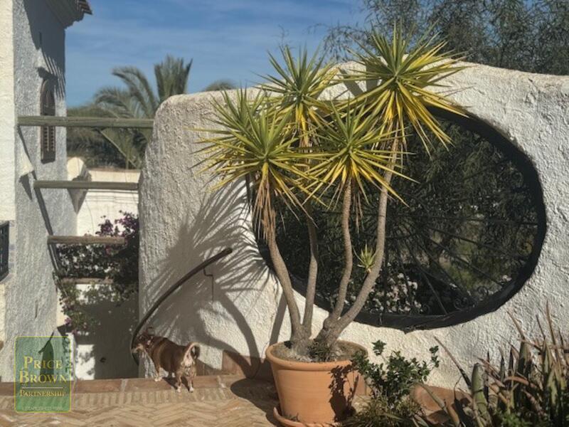 DV1567: Villa for Sale in Turre, Almería