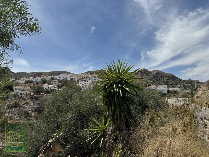 DV1571: Villa for Sale in Bedar, Almería