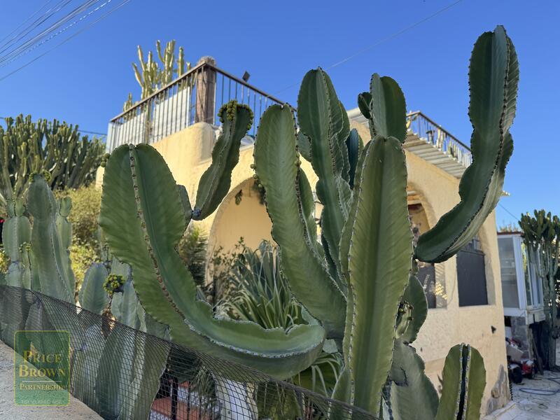 DV1591: Chalet en venta en Mojácar, Almería