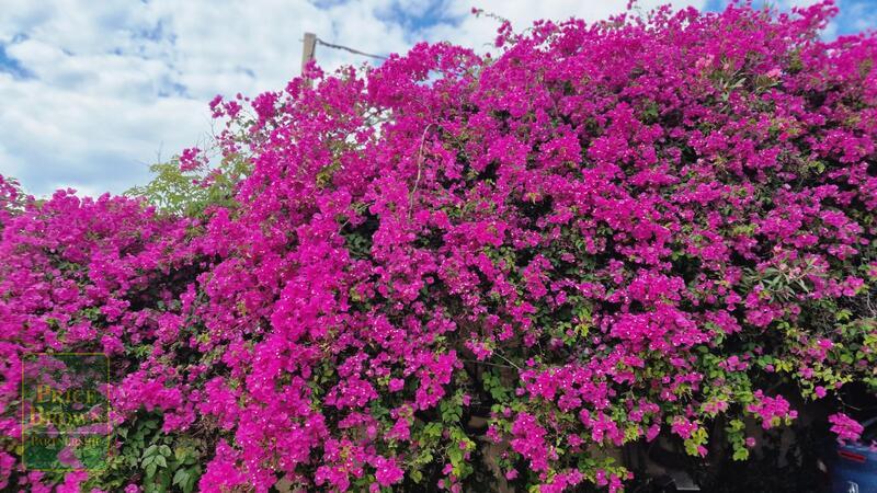 DV1603: Villa for Sale in Mojácar, Almería