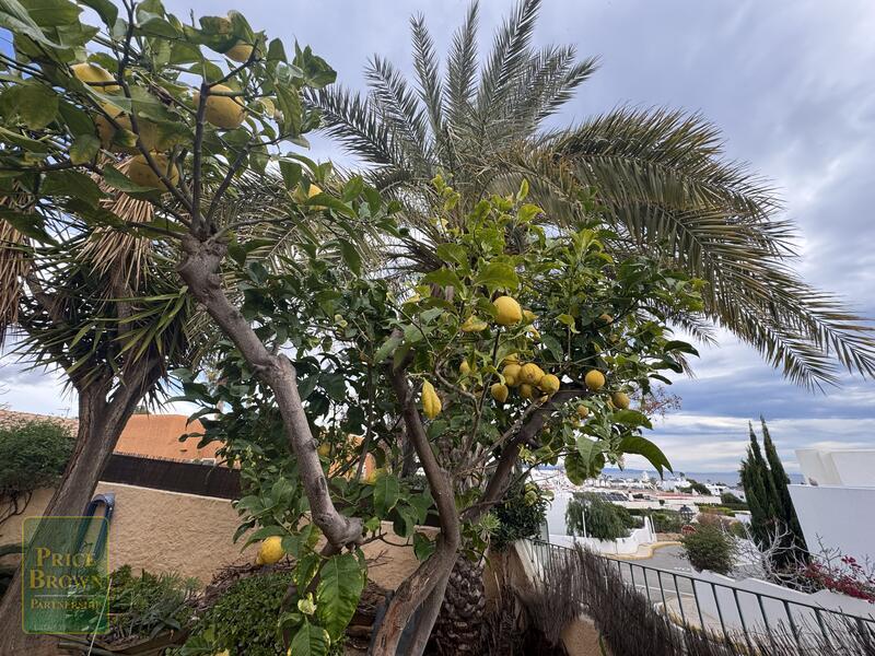 DV1606: Villa for Sale in Mojácar, Almería DV1606: Villa for Sale in Mojácar, Almería