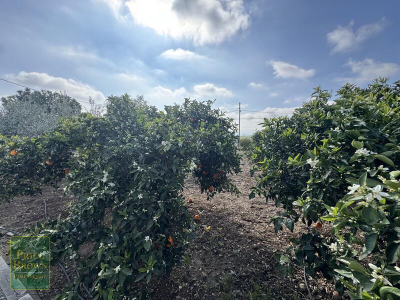 DV1607: Cortijo / Villa for Sale in Aljariz, Almería DV1607: Cortijo / Villa for Sale in Aljariz, Almería