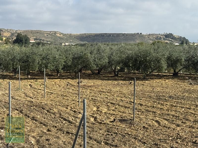 DV1607: Cortijo / Villa for Sale in Aljariz, Almería DV1607: Cortijo / Villa for Sale in Aljariz, Almería