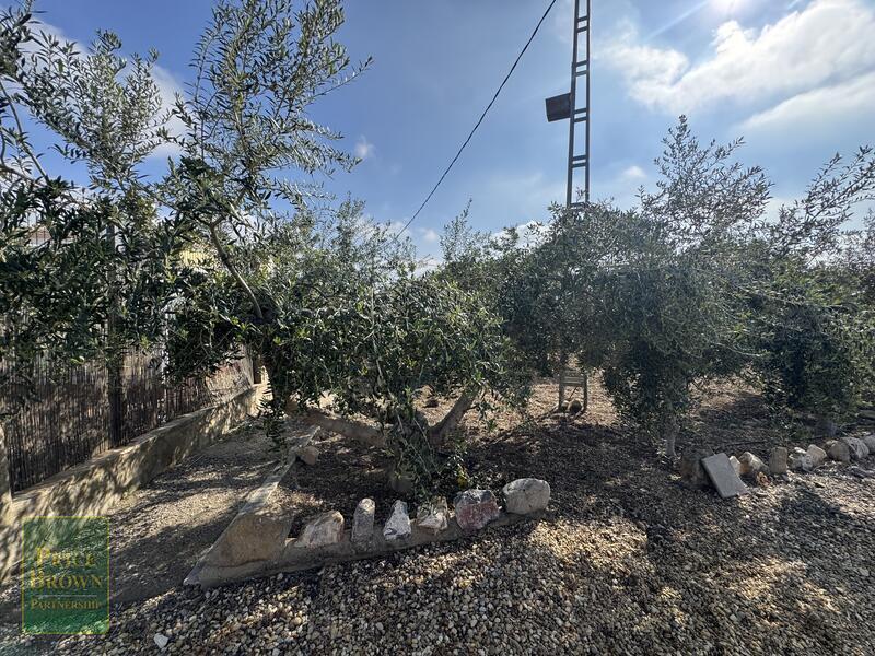 DV1607: Cortijo / Villa for Sale in Aljariz, Almería DV1607: Cortijo / Villa for Sale in Aljariz, Almería