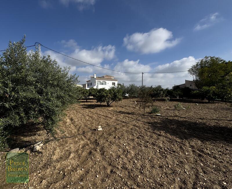DV1607: Cortijo / Villa for Sale in Aljariz, Almería DV1607: Cortijo / Villa for Sale in Aljariz, Almería