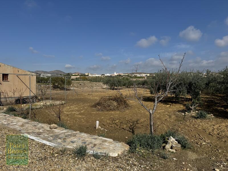 DV1607: Cortijo / Villa for Sale in Aljariz, Almería DV1607: Cortijo / Villa for Sale in Aljariz, Almería