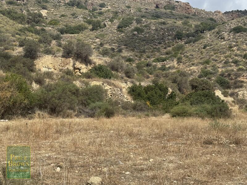 LANCariatiz: Land for Sale in Cariatiz, Almería LANCariatiz: Land for Sale in Cariatiz, Almería