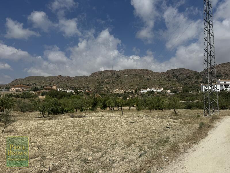 LANCariatiz: Land for Sale in Cariatiz, Almería LANCariatiz: Land for Sale in Cariatiz, Almería