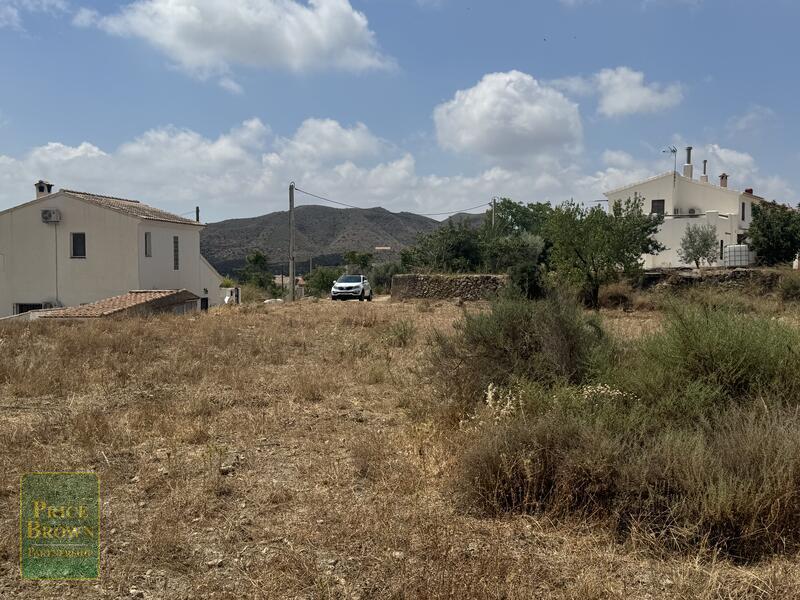 LANCariatiz: Land for Sale in Cariatiz, Almería LANCariatiz: Land for Sale in Cariatiz, Almería