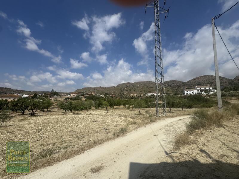 LANCariatiz: Land for Sale in Cariatiz, Almería LANCariatiz: Land for Sale in Cariatiz, Almería