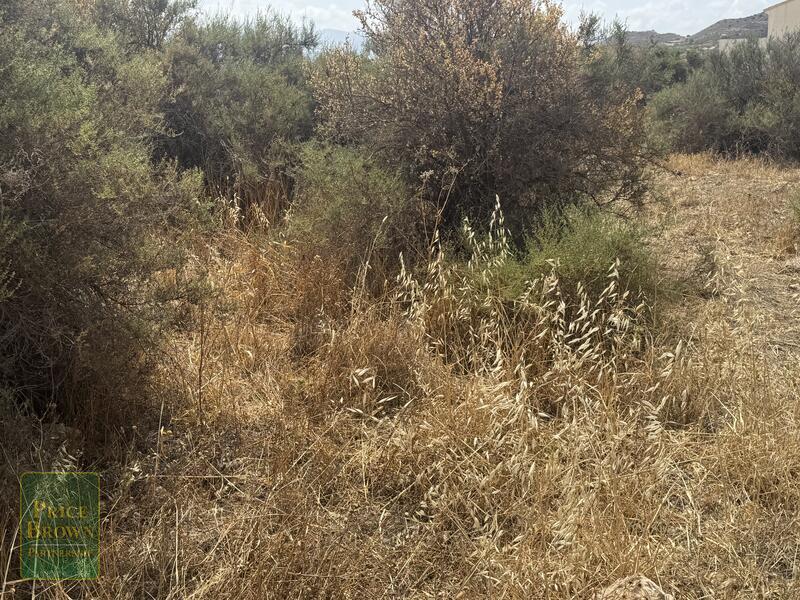 LANCariatiz: Land for Sale in Cariatiz, Almería LANCariatiz: Land for Sale in Cariatiz, Almería