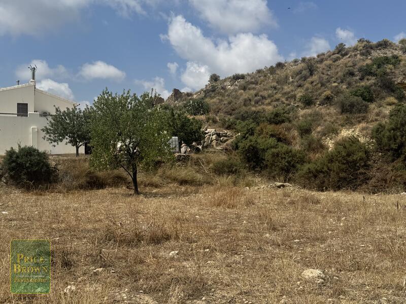 LANCariatiz: Land for Sale in Cariatiz, Almería LANCariatiz: Land for Sale in Cariatiz, Almería