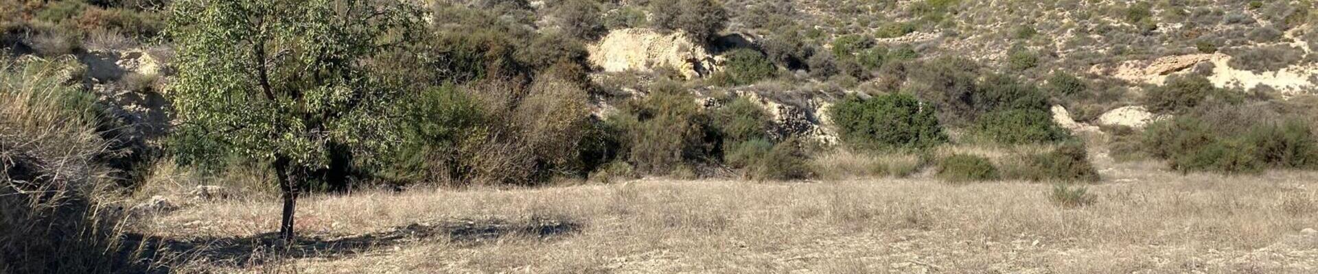 LANCariatiz: Land for Sale