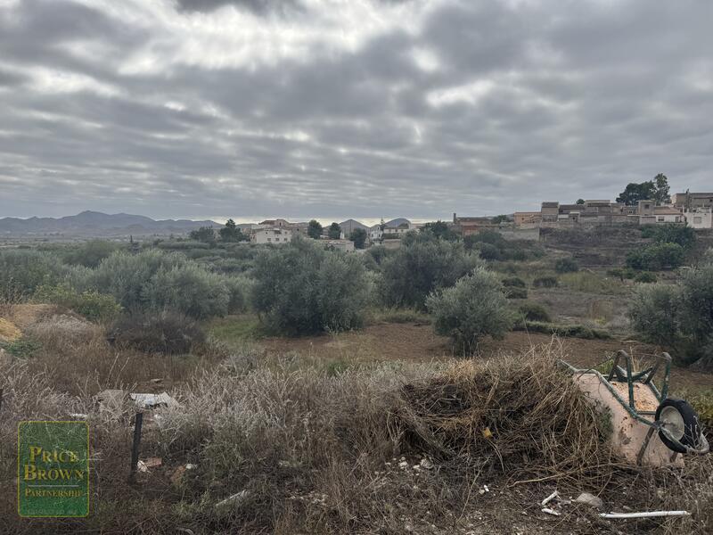 LANPAL: Land for Sale in Zurgena, Almería