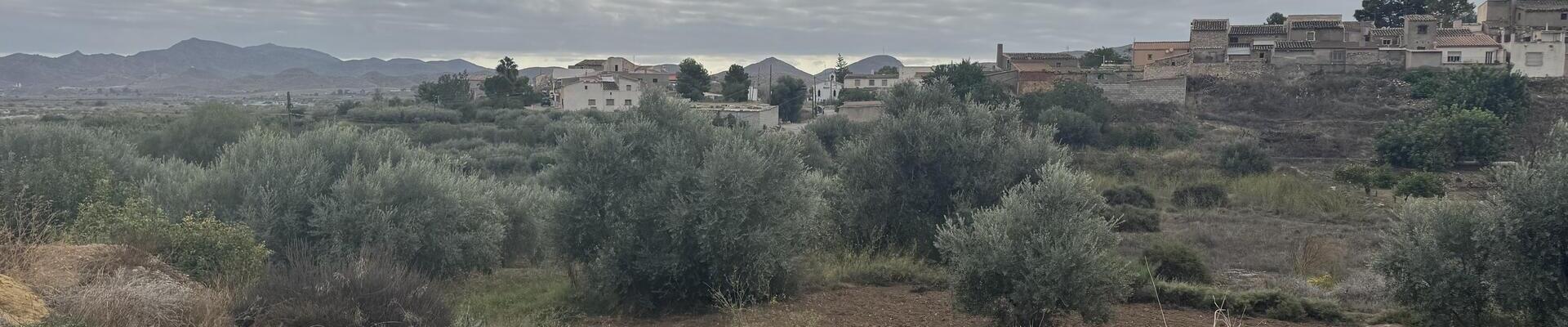 LANPAL: Land for Sale