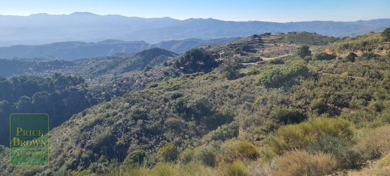 LANTHORN: Land for Sale in Bedar, Almería