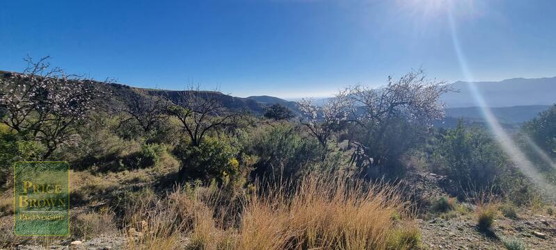 LANTHORN: Land for Sale in Bedar, Almería