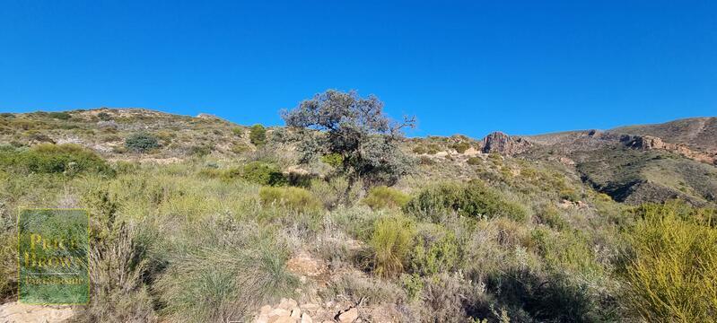 LANTHORN: Land for Sale in Bedar, Almería