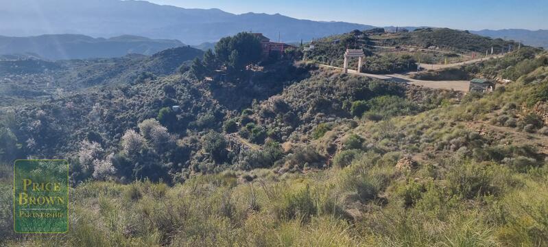 LANTHORN: Land for Sale in Bedar, Almería