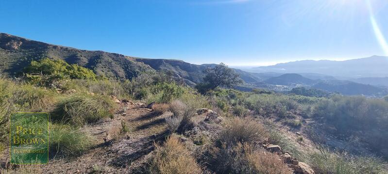 LANTHORN: Land for Sale in Bedar, Almería