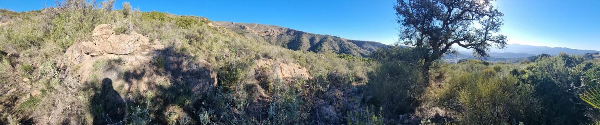 LANTHORN: Land for Sale