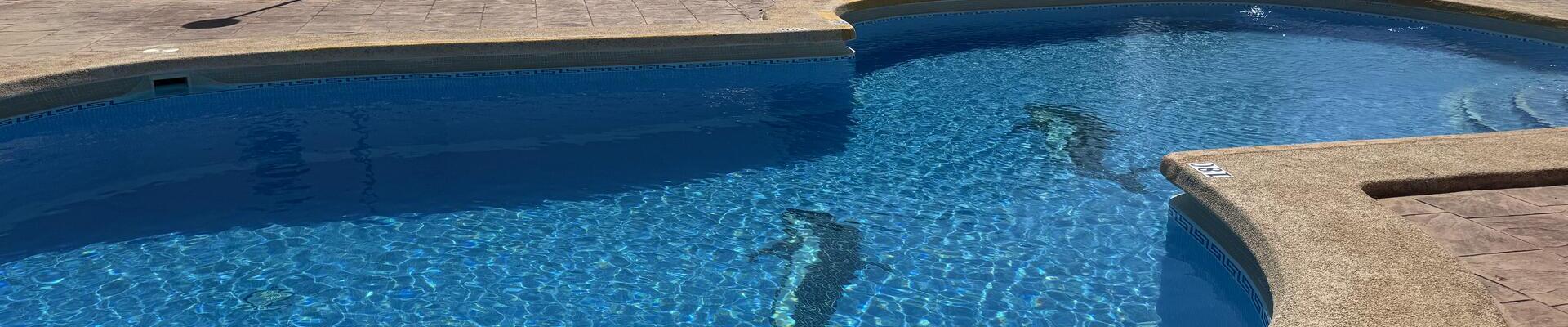 LV868: 3 Bedroom Townhouse for Sale