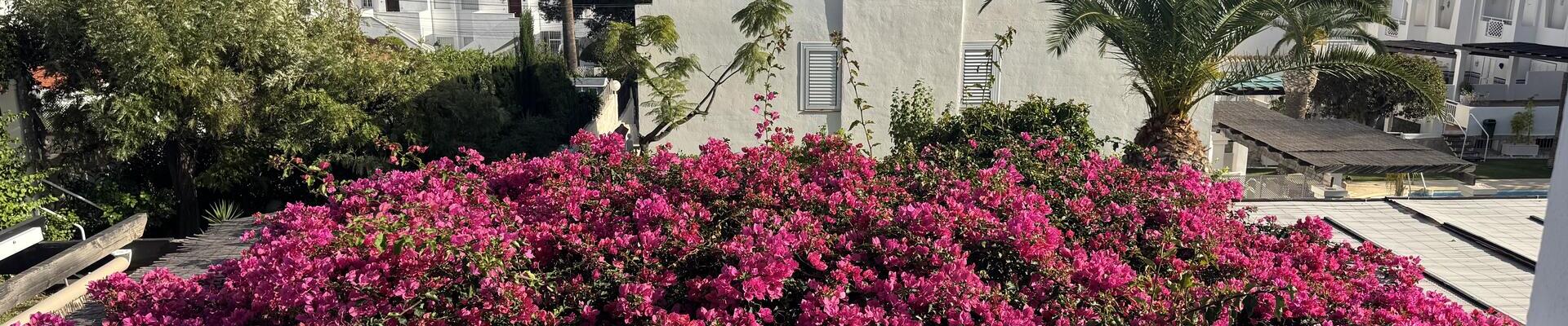 LV870: 3 Bedroom Townhouse for Sale